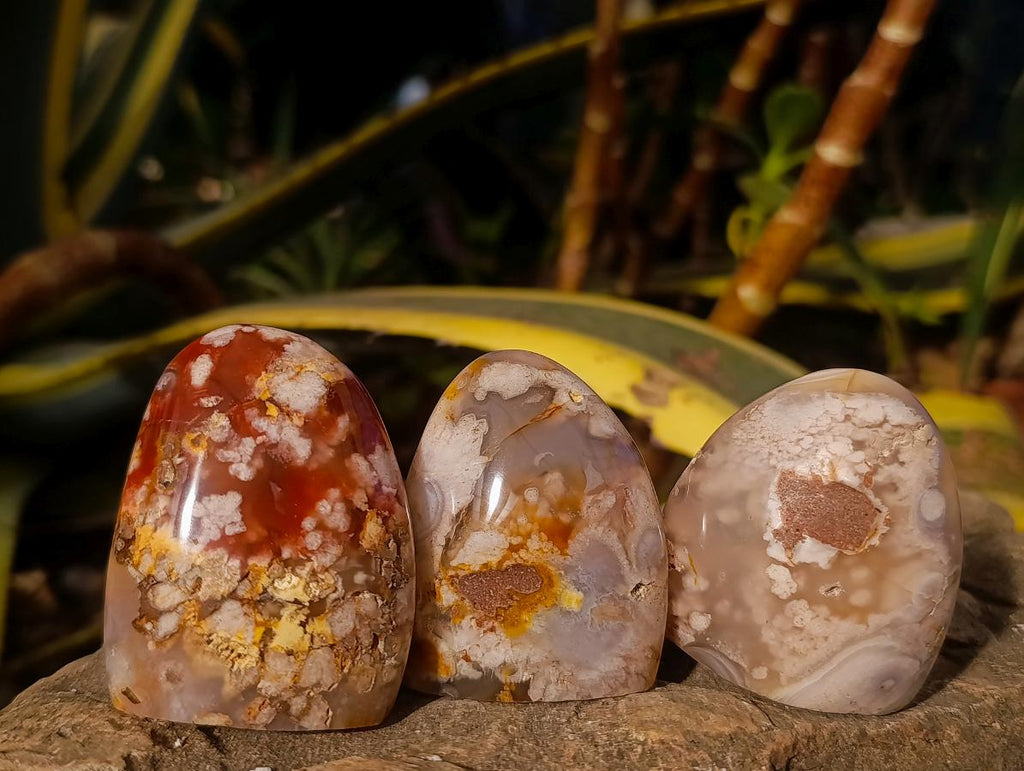 Polished Flower Agate Standing Display Pieces x 12 From Antsahalova, Madagascar - Toprock Gemstones and Minerals 