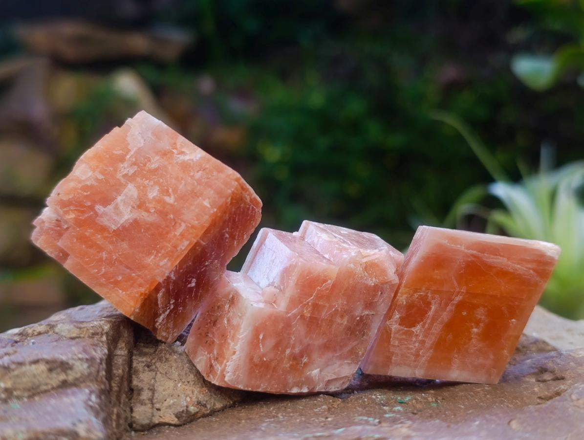 Natural Rhombohedral Sunset Orange Calcite Specimens x 35 From Spitzkop, Namibia - Toprock Gemstones and Minerals 