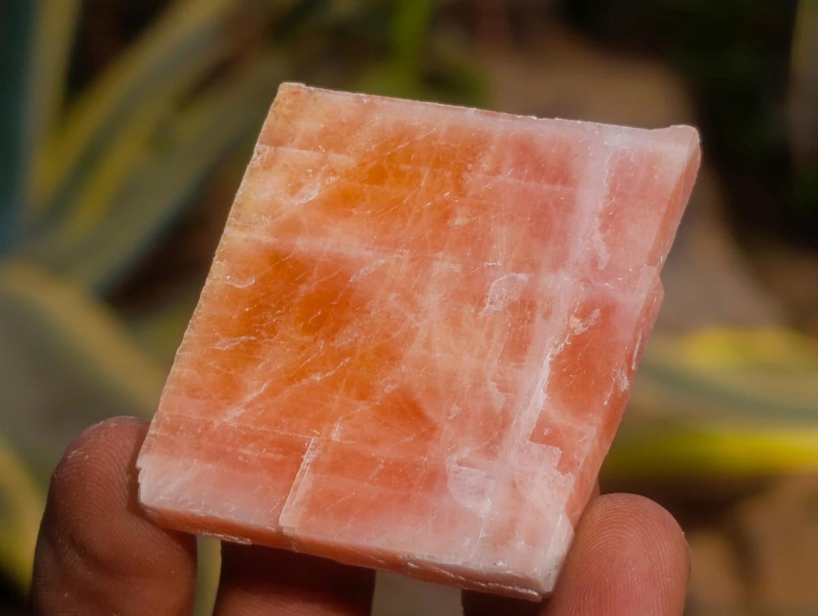 Natural Rhombohedral Sunset Orange Calcite Specimens x 35 From Spitzkop, Namibia - Toprock Gemstones and Minerals 