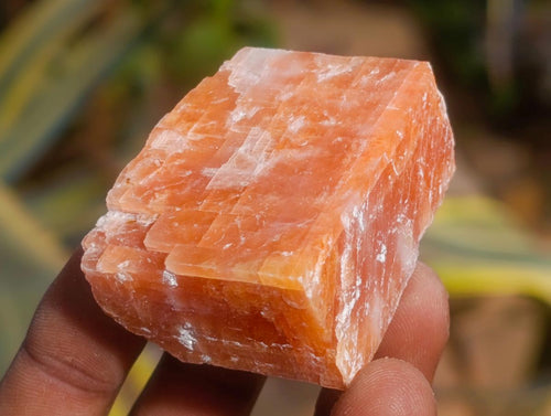 Natural Rhombohedral Sunset Orange Calcite Specimens x 35 From Spitzkop, Namibia - Toprock Gemstones and Minerals 