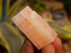 Natural Rhombohedral Sunset Orange Calcite Specimens x 35 From Spitzkop, Namibia - Toprock Gemstones and Minerals 