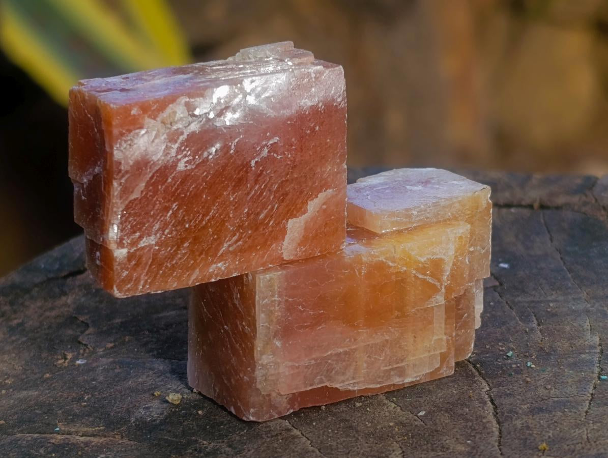 Natural Rhombohedral Sunset Orange Calcite Specimens x 35 From Spitzkop, Namibia - Toprock Gemstones and Minerals 