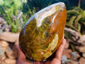 Polished Large Green Opal Standing Free Form x 1 From Betroka, Madagascar - Toprock Gemstones and Minerals 