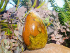 Polished Large Green Opal Standing Free Form x 1 From Betroka, Madagascar - Toprock Gemstones and Minerals 