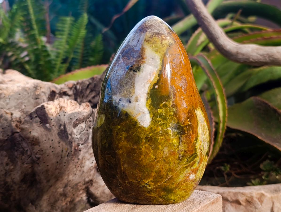 Polished Large Green Opal Standing Free Form x 1 From Betroka, Madagascar - Toprock Gemstones and Minerals 