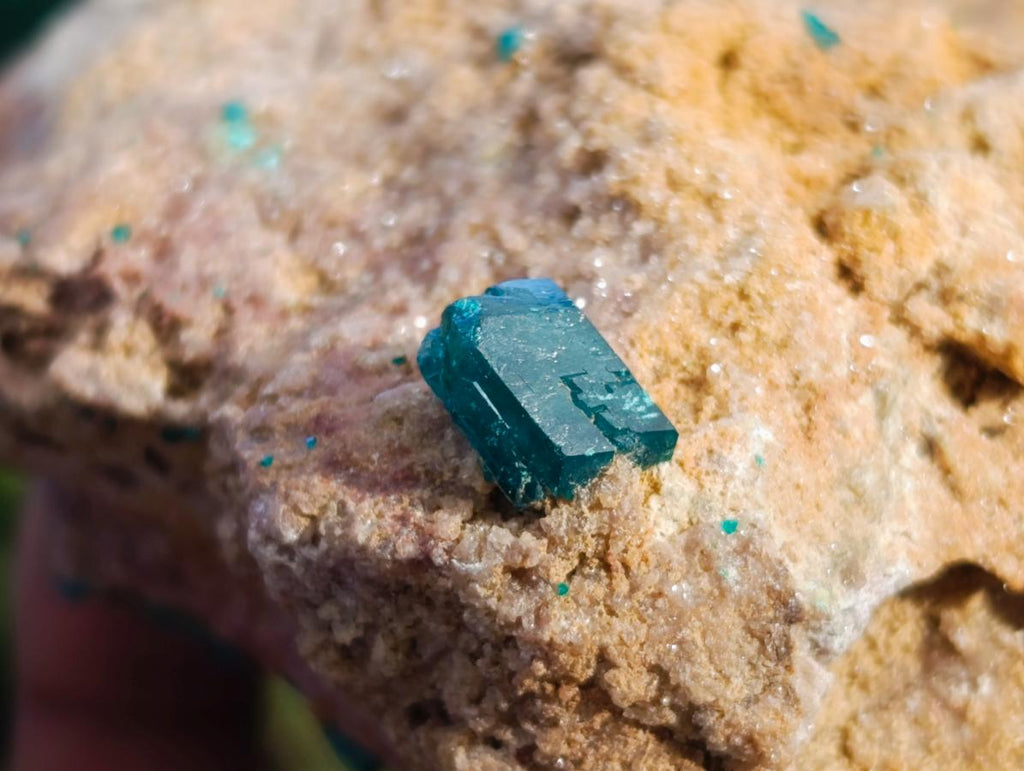 Natural Dioptase on Dolomite Specimens x 2 From Likasi, Congo - Toprock Gemstones and Minerals 