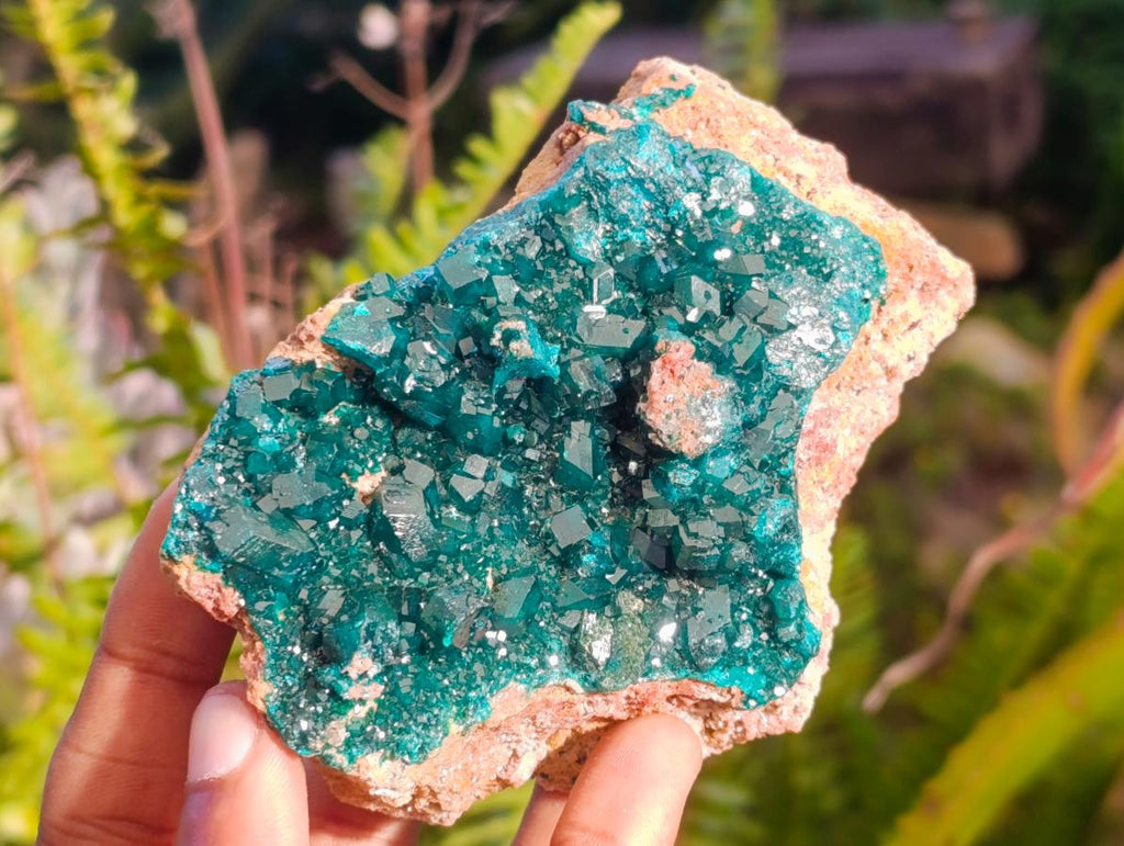 Natural Dioptase on Dolomite Specimens x 2 From Likasi, Congo - Toprock Gemstones and Minerals 