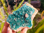 Natural Dioptase on Dolomite Specimens x 2 From Likasi, Congo - Toprock Gemstones and Minerals 