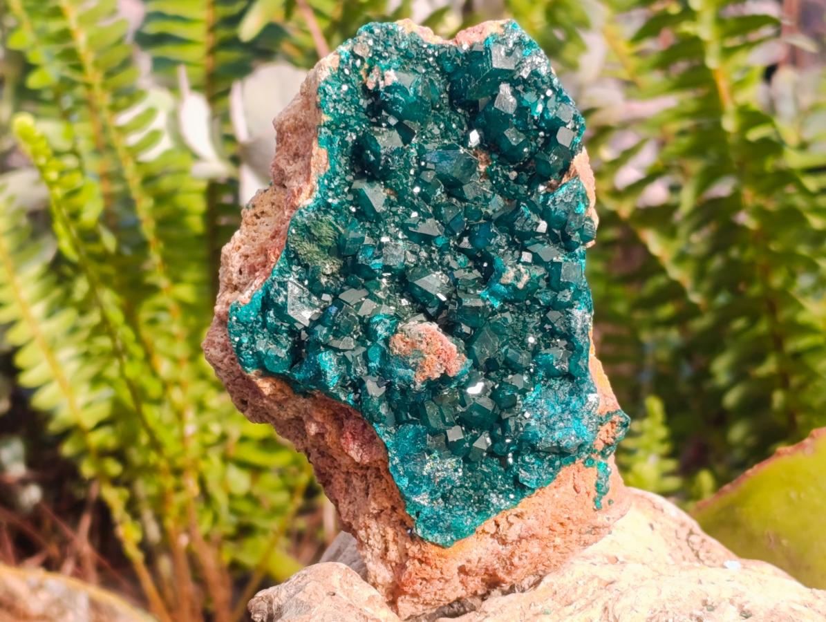 Natural Dioptase on Dolomite Specimens x 2 From Likasi, Congo - Toprock Gemstones and Minerals 