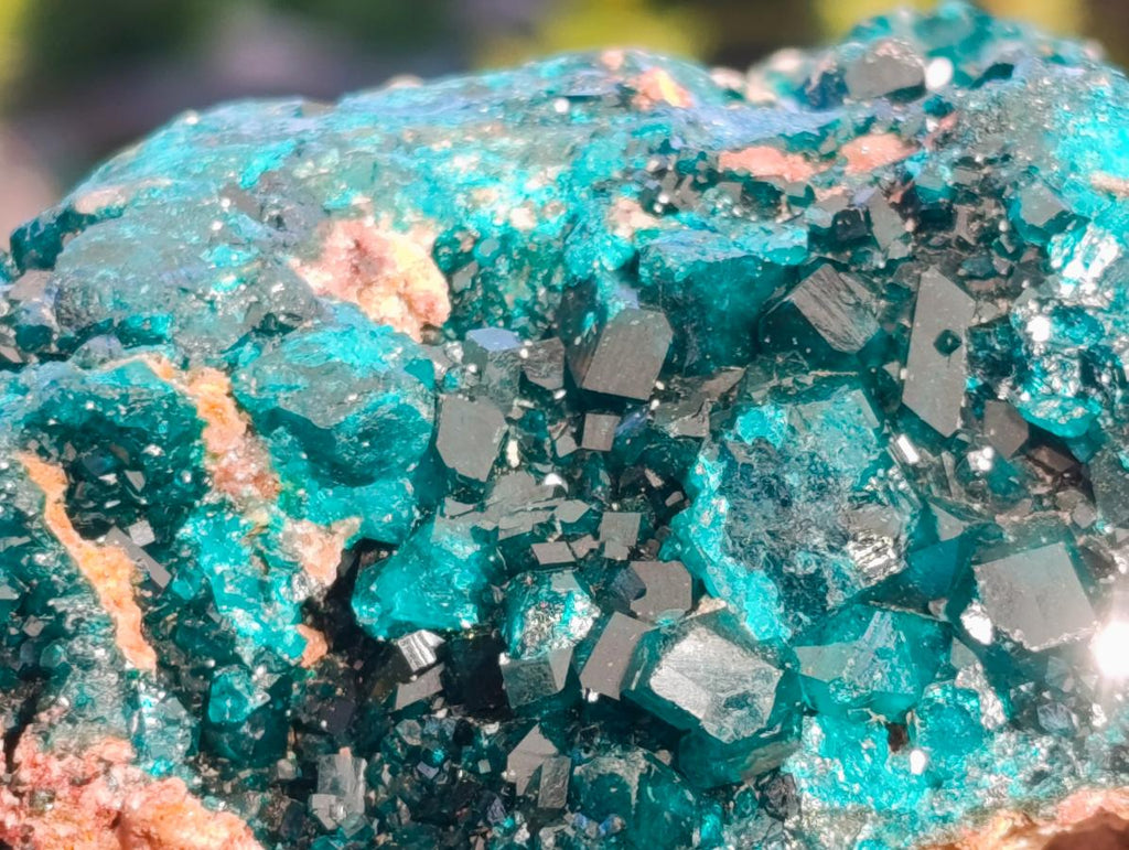 Natural Dioptase on Dolomite Specimens x 2 From Likasi, Congo - Toprock Gemstones and Minerals 