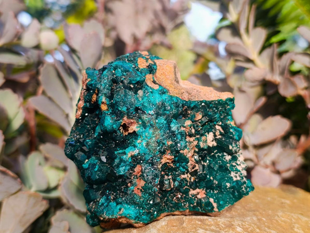 Natural Dioptase on Dolomite Specimens x 2 From Likasi, Congo - Toprock Gemstones and Minerals 