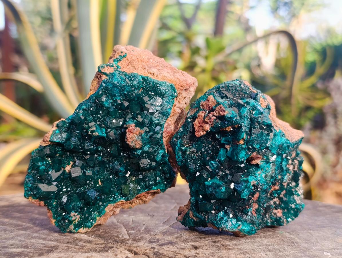 Natural Dioptase on Dolomite Specimens x 2 From Likasi, Congo - Toprock Gemstones and Minerals 