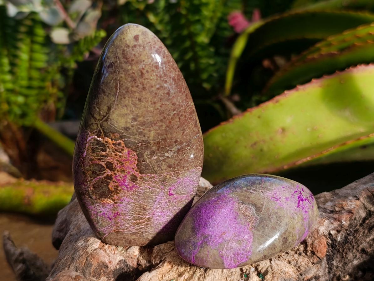 Polished Stichtite Free Forms x 6 From Barberton, South Africa - Toprock Gemstones and Minerals 