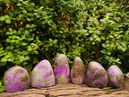 Polished Stichtite Free Forms x 6 From Barberton, South Africa - Toprock Gemstones and Minerals 