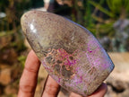 Polished Stichtite Free Forms x 6 From Barberton, South Africa - Toprock Gemstones and Minerals 