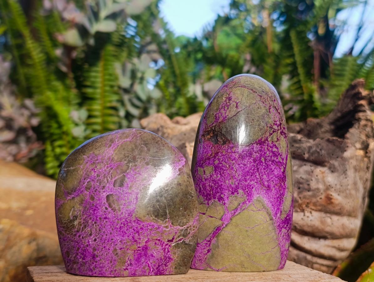 Polished Stichtite Free Forms x 6 From Barberton, South Africa - Toprock Gemstones and Minerals 