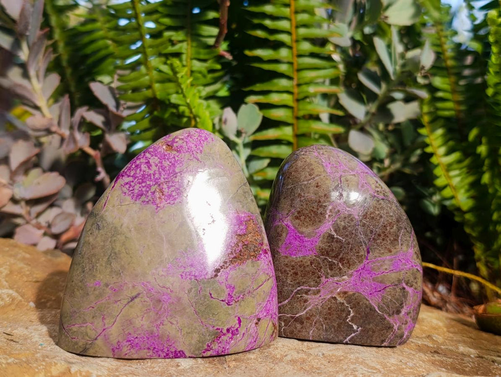 Polished Stichtite Free Forms x 6 From Barberton, South Africa - Toprock Gemstones and Minerals 
