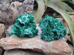 Natural Rare Malachite Pseudomorph Specimens with Associated x 2 From Kolwezi, Congo - Toprock Gemstones and Minerals 