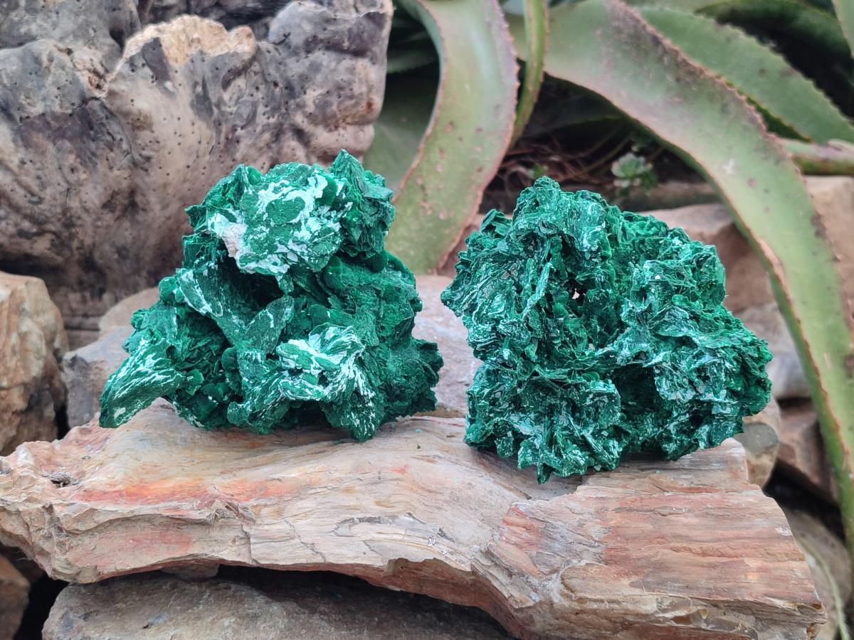 Natural Rare Malachite Pseudomorph Specimens with Associated x 2 From Kolwezi, Congo - Toprock Gemstones and Minerals 