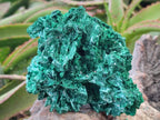Natural Rare Malachite Pseudomorph Specimens with Associated x 2 From Kolwezi, Congo - Toprock Gemstones and Minerals 