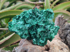 Natural Rare Malachite Pseudomorph Specimens with Associated x 2 From Kolwezi, Congo - Toprock Gemstones and Minerals 
