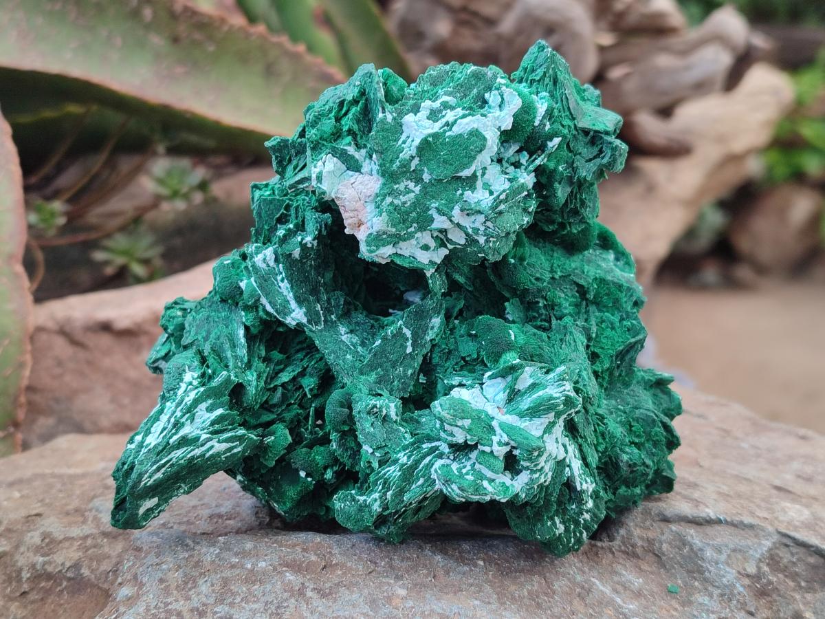 Natural Rare Malachite Pseudomorph Specimens with Associated x 2 From Kolwezi, Congo - Toprock Gemstones and Minerals 
