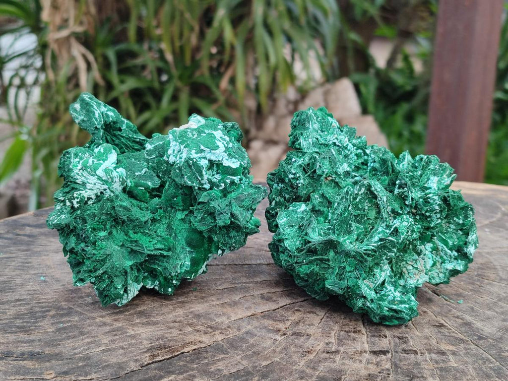 Natural Rare Malachite Pseudomorph Specimens with Associated x 2 From Kolwezi, Congo - Toprock Gemstones and Minerals 