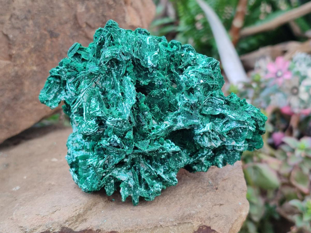 Natural Rare Malachite Pseudomorph Specimens with Associated x 2 From Kolwezi, Congo - Toprock Gemstones and Minerals 