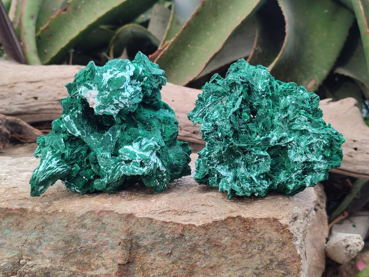 Natural Rare Malachite Pseudomorph Specimens with Associated x 2 From Kolwezi, Congo - Toprock Gemstones and Minerals 
