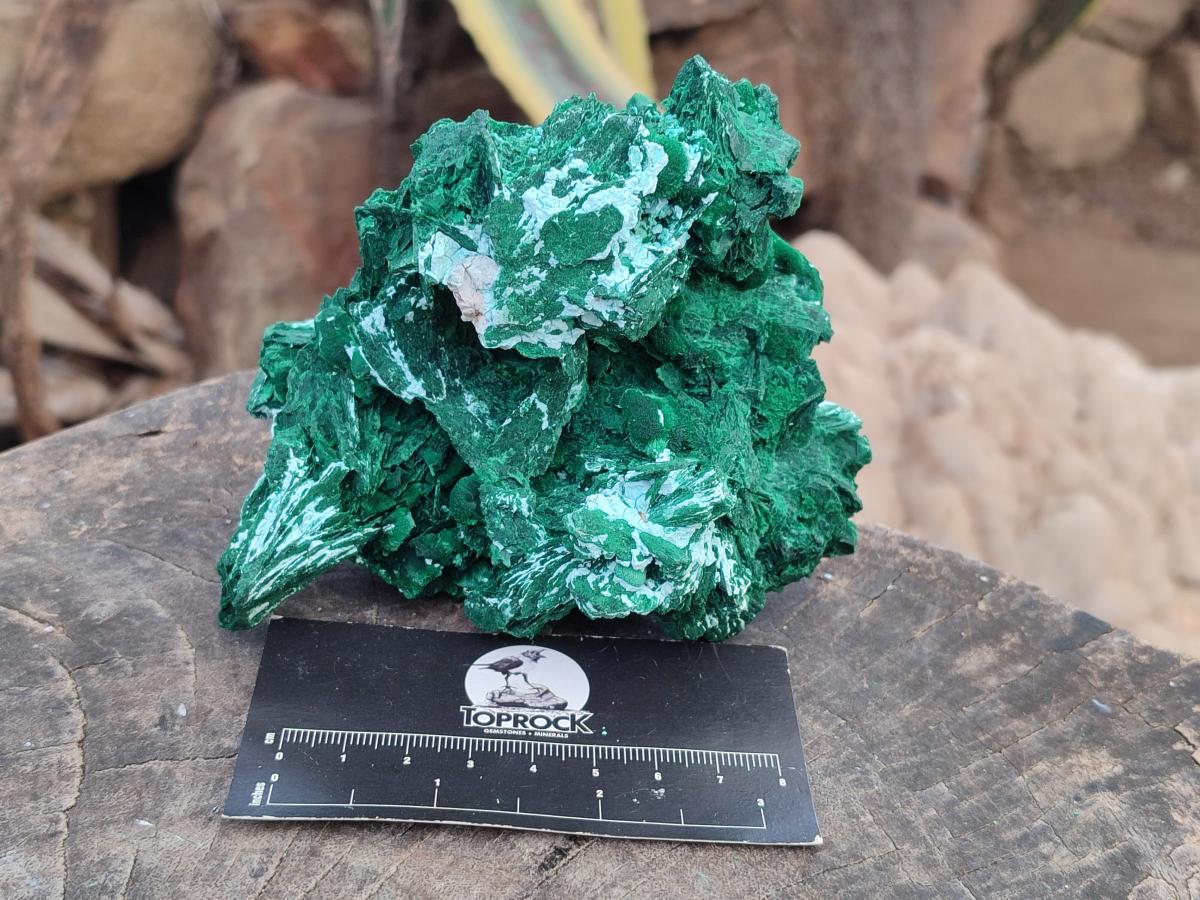 Natural Rare Malachite Pseudomorph Specimens with Associated x 2 From Kolwezi, Congo - Toprock Gemstones and Minerals 