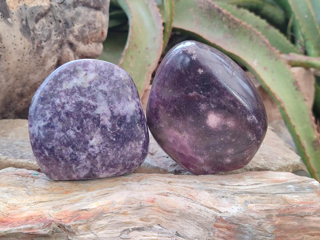 Polished Lepidolite Standing Display Pieces x 2 From Zimbabwe - Toprock Gemstones and Minerals 