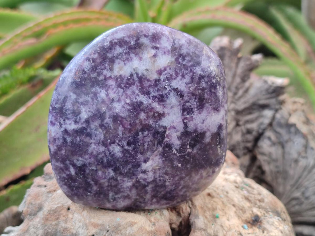 Polished Lepidolite Standing Display Pieces x 2 From Zimbabwe - Toprock Gemstones and Minerals 