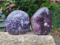 Polished Lepidolite Standing Display Pieces x 2 From Zimbabwe - Toprock Gemstones and Minerals 