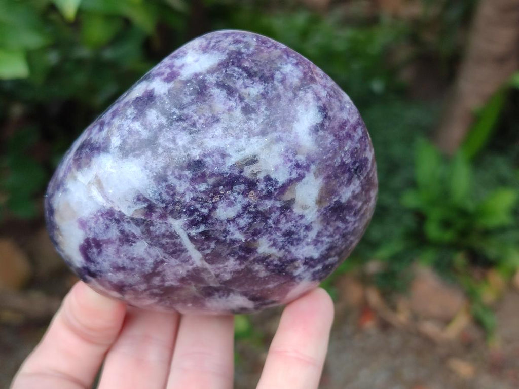 Polished Lepidolite Standing Display Pieces x 2 From Zimbabwe - Toprock Gemstones and Minerals 