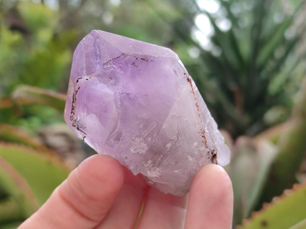 Natural Jacaranda Amethyst Single Crystals x 12 From Mumbwa, Zambia - Toprock Gemstones and Minerals 
