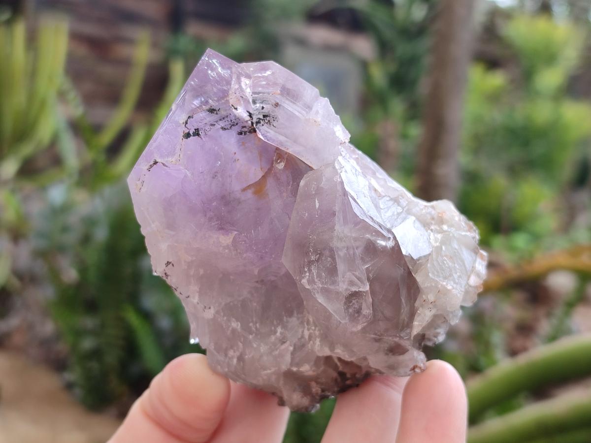 Natural Jacaranda Amethyst Single Crystals x 12 From Mumbwa, Zambia - Toprock Gemstones and Minerals 