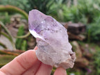 Natural Jacaranda Amethyst Single Crystals x 12 From Mumbwa, Zambia - Toprock Gemstones and Minerals 