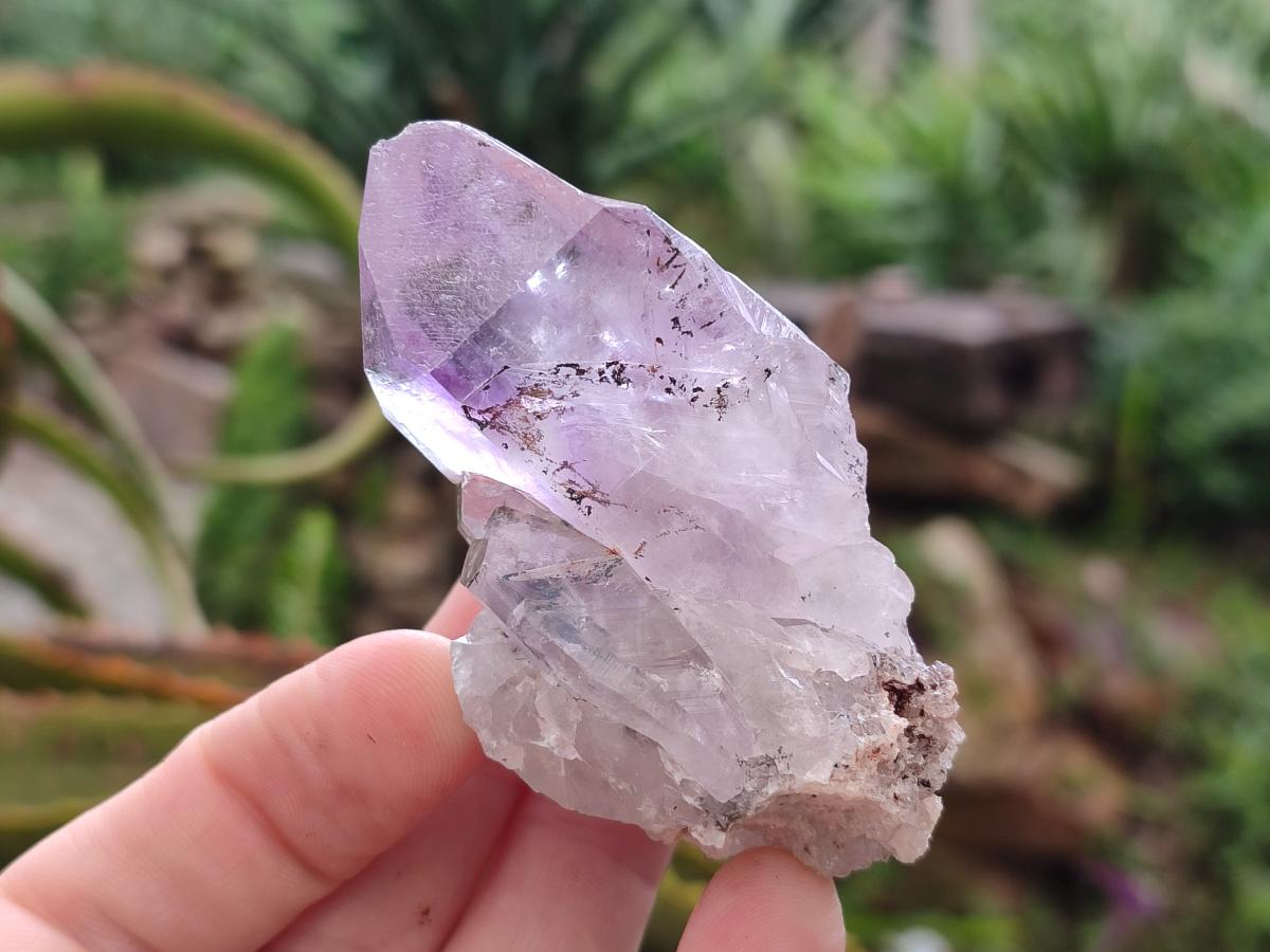Natural Jacaranda Amethyst Single Crystals x 12 From Mumbwa, Zambia - Toprock Gemstones and Minerals 