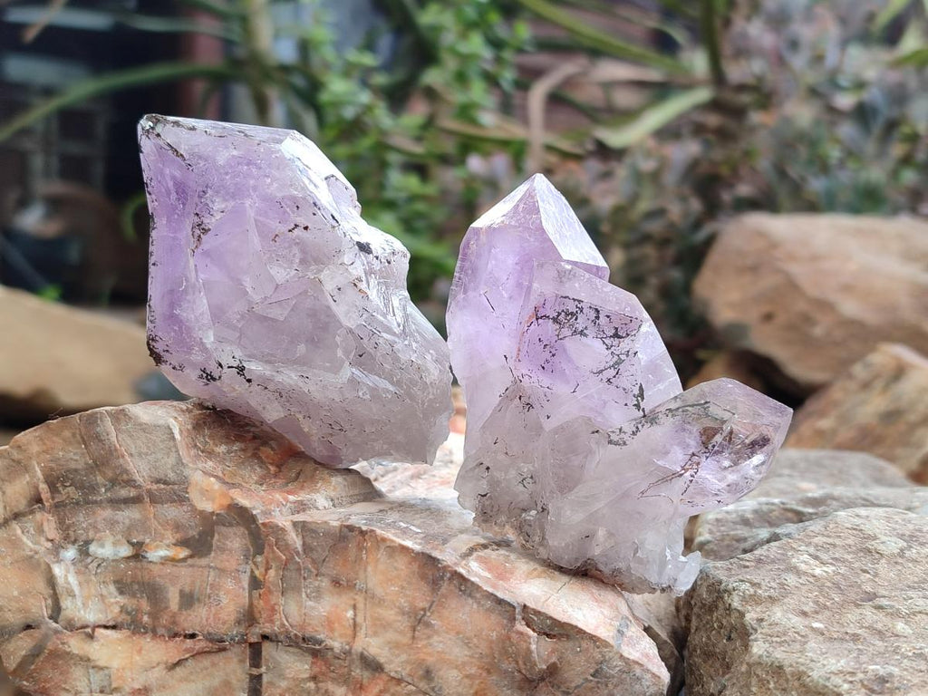 Natural Jacaranda Amethyst Single Crystals x 12 From Mumbwa, Zambia - Toprock Gemstones and Minerals 