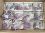 Natural Jacaranda Amethyst Single Crystals x 12 From Mumbwa, Zambia - Toprock Gemstones and Minerals 