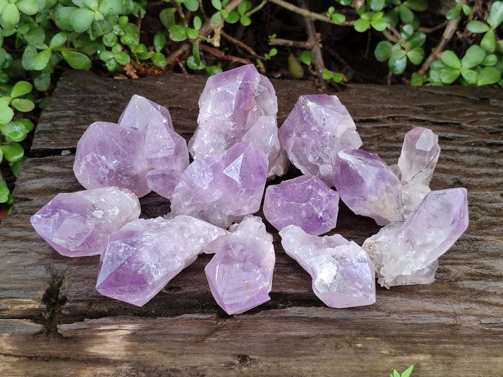 Natural Jacaranda Amethyst Single Crystals x 12 From Mumbwa, Zambia - Toprock Gemstones and Minerals 