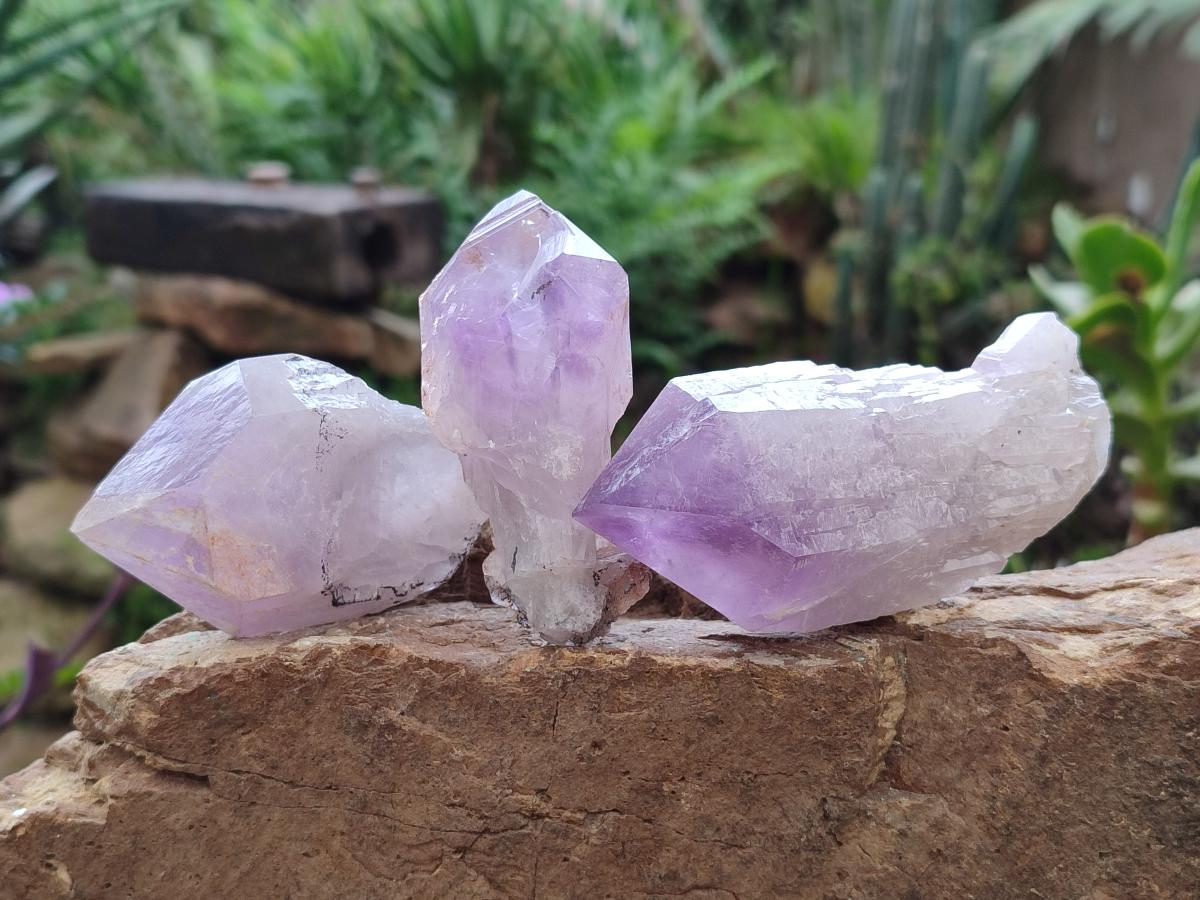 Natural Jacaranda Amethyst Single Crystals x 12 From Mumbwa, Zambia - Toprock Gemstones and Minerals 