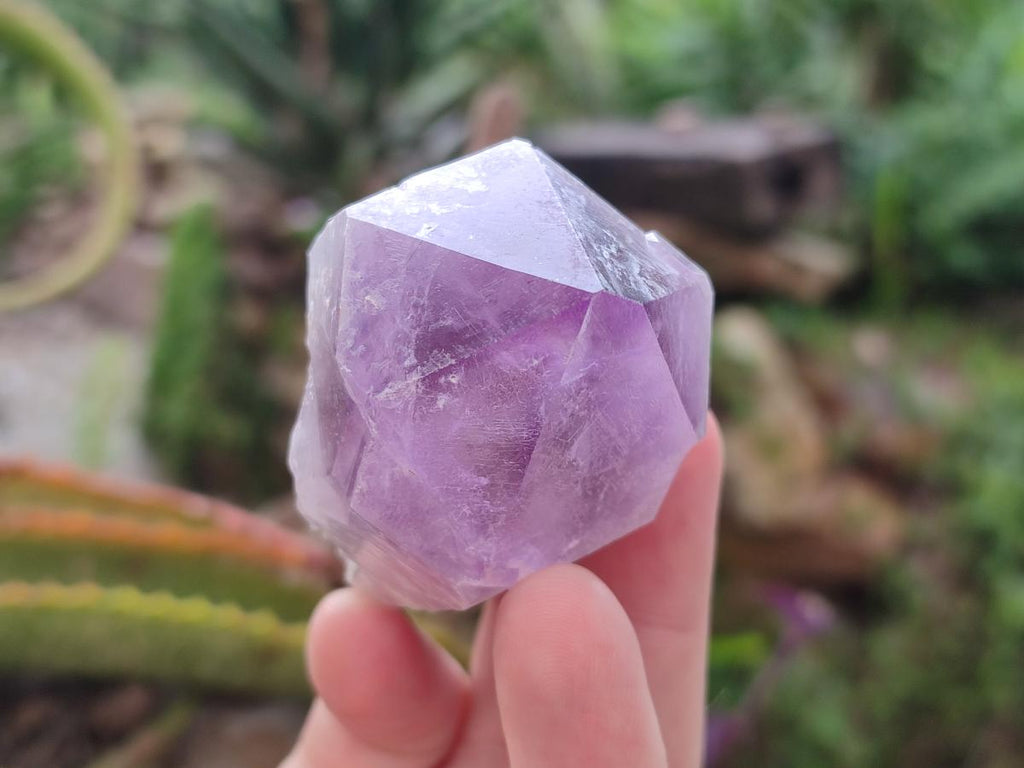 Natural Jacaranda Amethyst Single Crystals x 12 From Mumbwa, Zambia - Toprock Gemstones and Minerals 
