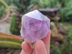 Natural Jacaranda Amethyst Single Crystals x 12 From Mumbwa, Zambia - Toprock Gemstones and Minerals 