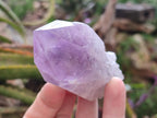 Natural Jacaranda Amethyst Single Crystals x 12 From Mumbwa, Zambia - Toprock Gemstones and Minerals 