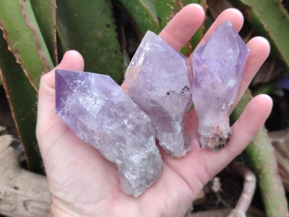 Natural Jacaranda Amethyst Single Crystals x 12 From Mumbwa, Zambia - Toprock Gemstones and Minerals 