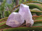 Natural Jacaranda Amethyst Single Crystals x 12 From Mumbwa, Zambia - Toprock Gemstones and Minerals 