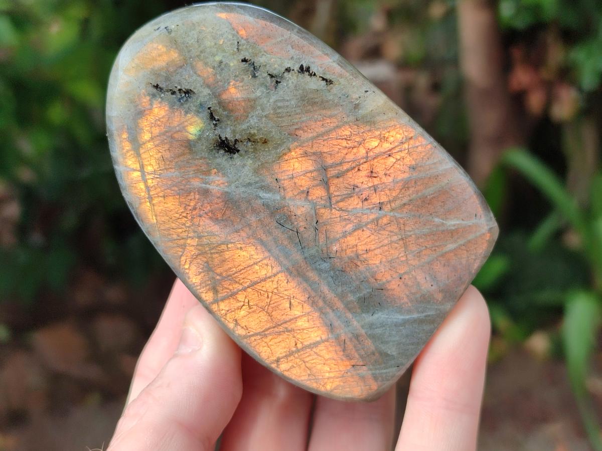 Polished Rare Purple Sunset Flash Labradorite Standing Display Pieces x 6 From Madagascar - Toprock Gemstones and Minerals 
