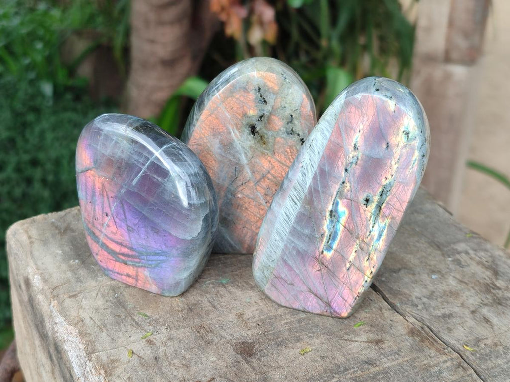 Polished Rare Purple Sunset Flash Labradorite Standing Display Pieces x 6 From Madagascar - Toprock Gemstones and Minerals 