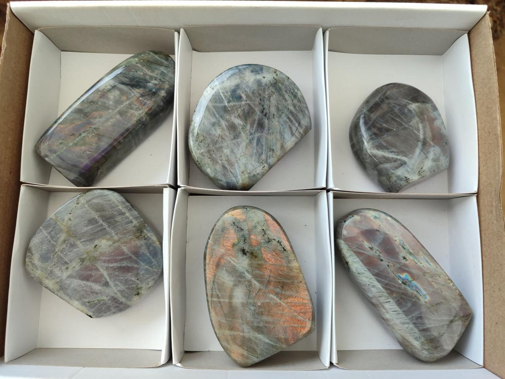 Polished Rare Purple Sunset Flash Labradorite Standing Display Pieces x 6 From Madagascar - Toprock Gemstones and Minerals 
